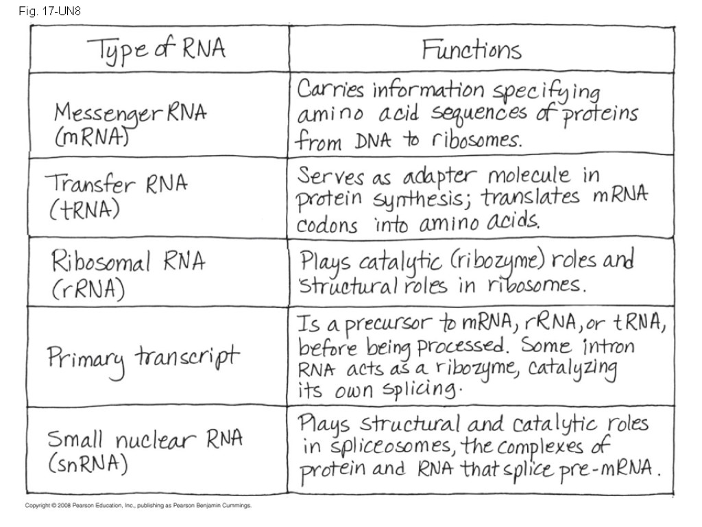 Fig. 17-UN8